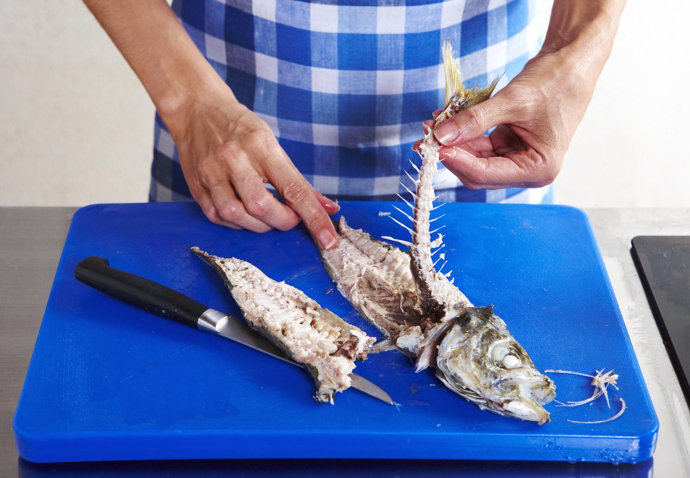 Le chinchard, un poisson en danger