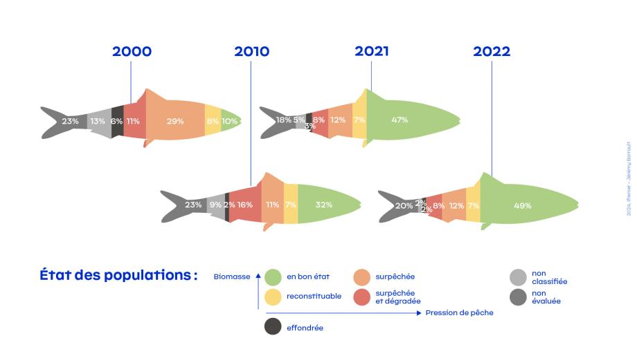 Etat des populations 2024