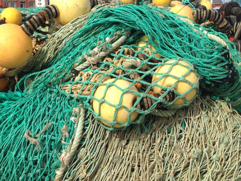 Sardine ring net - Sennes - Fabricant de Filets de Pêche