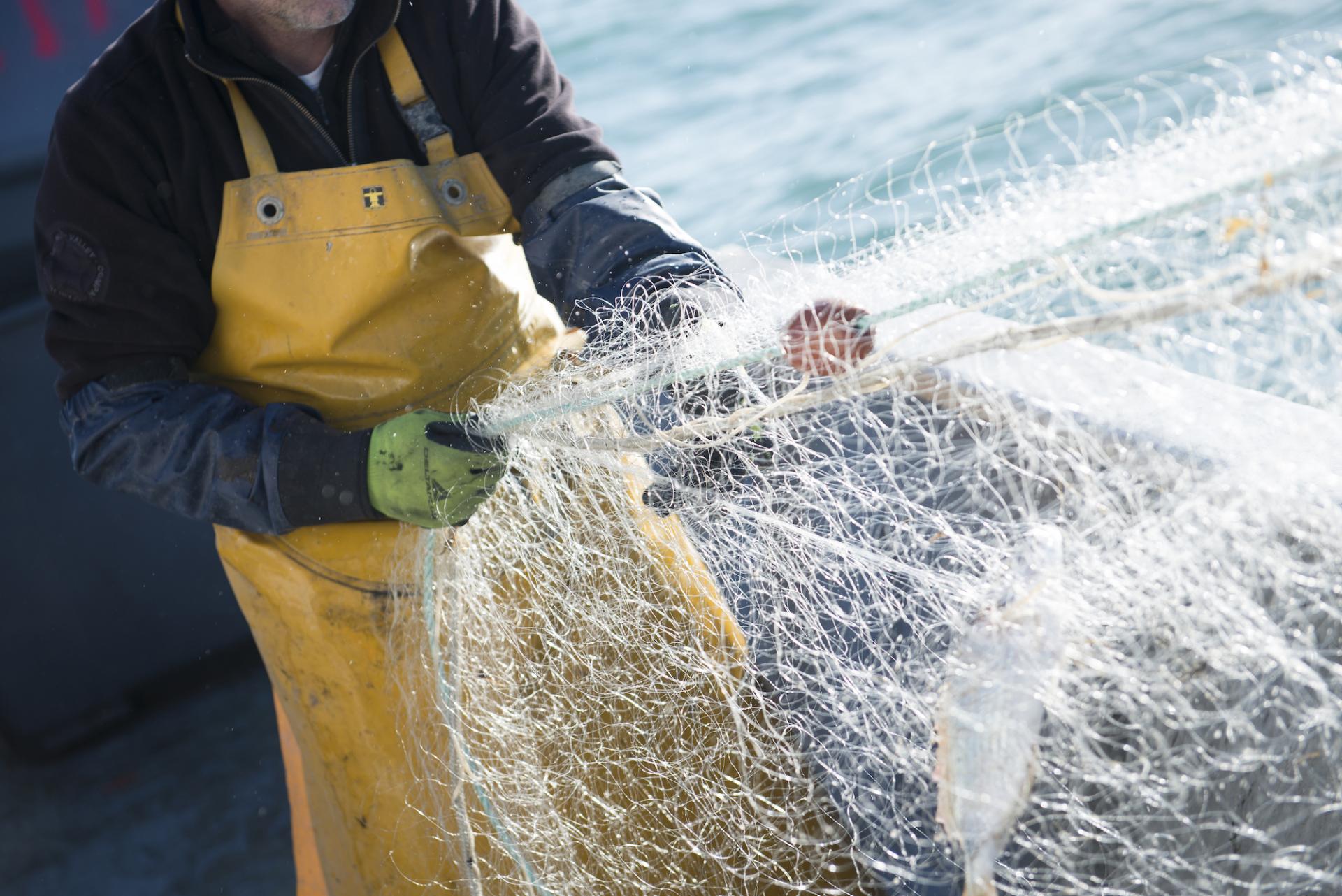 Photo libre de droit de Flotteurs De Filets De Pêcheurs Dans La